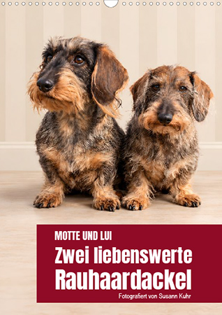 Motte und Lui. Zwei liebenswerte Rauhaardackel.